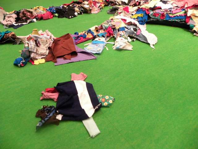 56日色のとかげ（47日め）